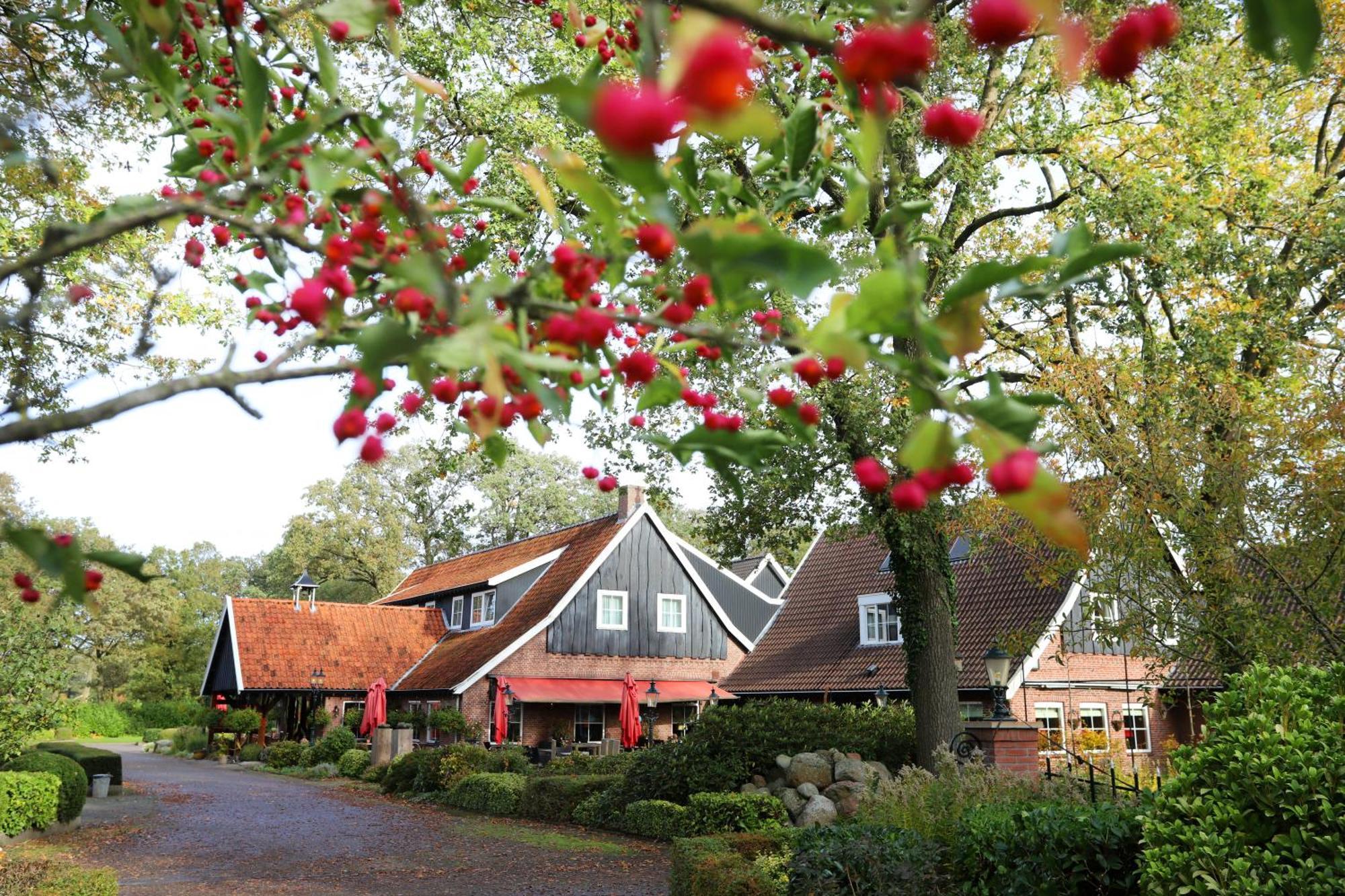Het Ros Van Twente Де-Лютте Экстерьер фото